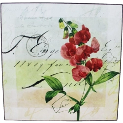 obraz 25x25 - květy2, 355049