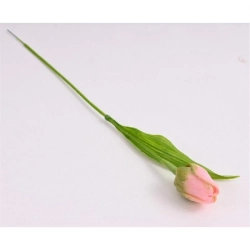 Umělý tulipán růžovozelený 371309-05