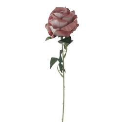 Růže růžová X5791-07