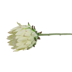 Umělá protea bílá X6859-01