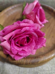 Umělý květ růže Ø7 cm růžová
