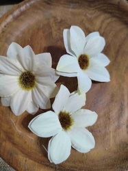 Umělý květ Ø60 mm smetanová