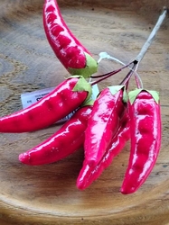 Umělé chilli papričky na drátku
