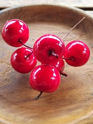 Umělá jablíčka na drátku 6 ks červená lesklá