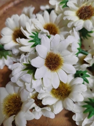 Umělý květ chryzantéma Ø40 mm krémová