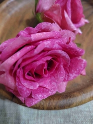 Umělý květ růže Ø7 cm růžová