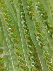 Flitrový prýmek na monofilu šíře 27 mm barva zelinkavá