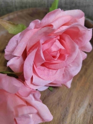 Umělý květ růže Ø7 cm korálová