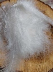 Pštrosí peří délka 9-16 cm barva bílá