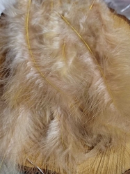 Pštrosí peří délka 9-16 cm barva krémová