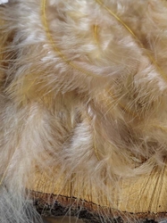 Pštrosí peří délka 9-16 cm barva krémová
