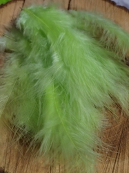 Pštrosí peří délka 9-16 cm barva zelinkavá