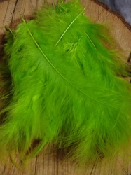Pštrosí peří délka 9-16 cm barva zelená