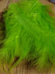 Pštrosí peří délka 9-16 cm barva zelená