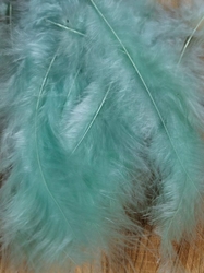 Pštrosí peří délka 9-16 cm barva mintová