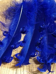 Husí peří kudrnaté délka 12-18 cm barva modrá