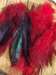  Slepičí peří délka 6-20 cm barva červená tmavá