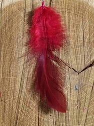  Slepičí peří délka 6-20 cm barva červená tmavá