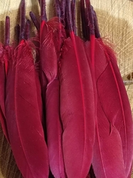 Kachní peří délka 9-14 cm barva vínová