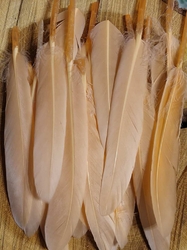 Kachní peří délka 9-14 cm barva lososová
