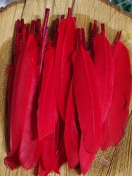 Kachní peří délka 9-14 cm barva červená