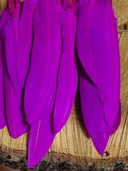 Kachní peří délka 9-14 cm barva fialová