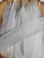 Husí peří délka 12-21 cm barva bílá