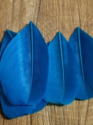 Husí peří délka 5,5-7 cm barva tyrkys