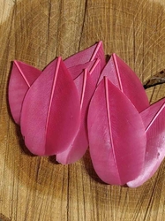 Husí peří délka 5,5-7 cm barva růžová