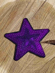 Nažehlovačka hvězda flitrová barva fialová