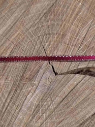 Stuha atlasová oboulící s rexorem šíře 3mm barva bordó  zlatá