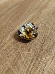 Skleněný přívěsek srdce 21x21 mm barva béžová