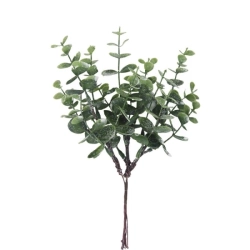 Eukalyptus větvička X8390